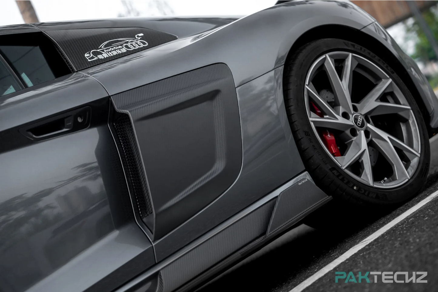 PAKTECHZ - AUDI R8 DRY CARBON FIBRE SIDE SKIRTS